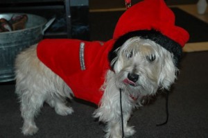 Molly modelling our new red jacket.